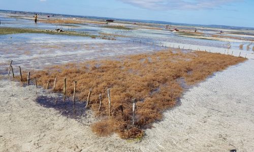 20190618_103501-1-768x432