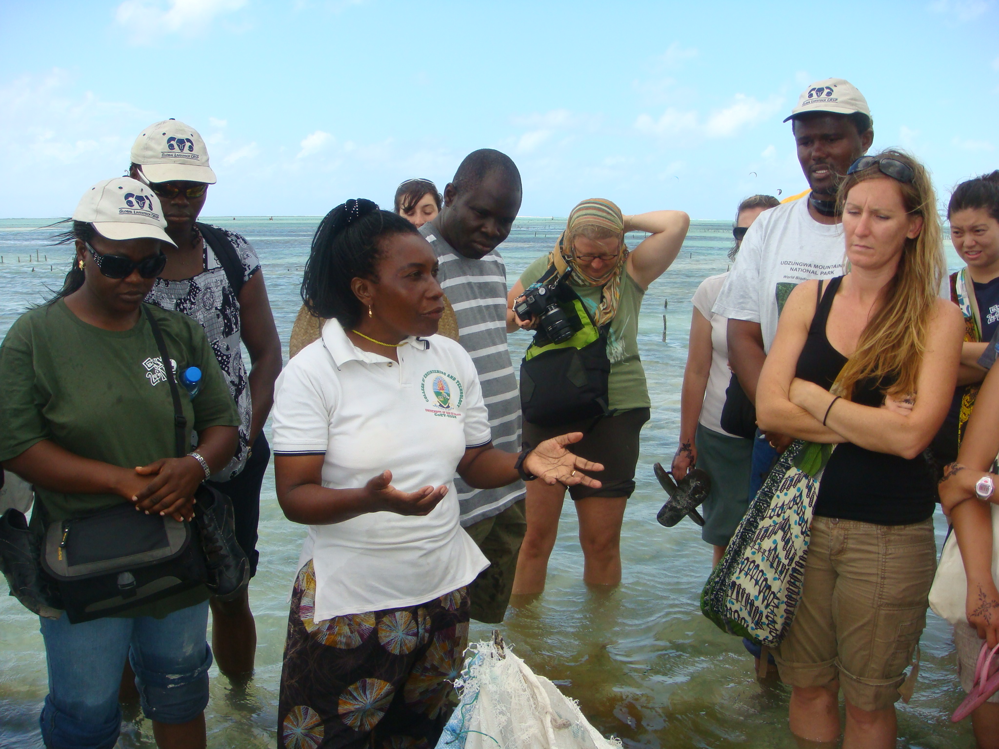 Expand opportunities 