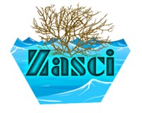 Strengthen ZaSCI organization
